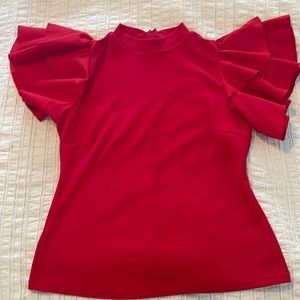 Bodycon Top Ruffle Sleeves